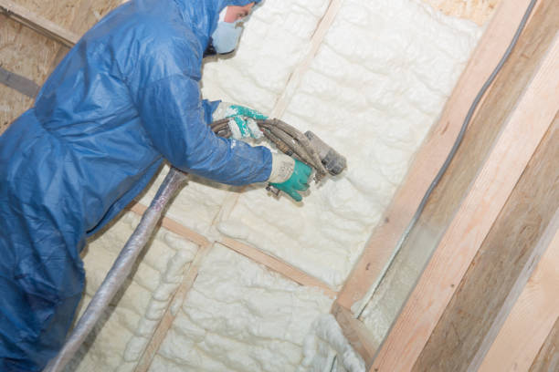 Best Batt and Roll Insulation  in Excelsior, MN