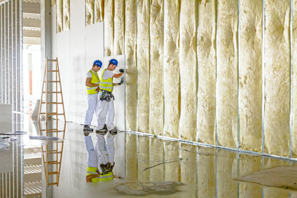 Eco-Friendly or Green Insulation Solutions in Excelsior, MN